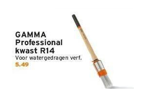 gamma professional kwast r14