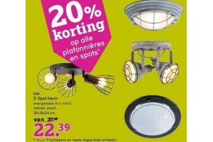 20 korting op alle plafonnieres en spots