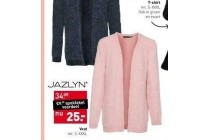 jazlyn vest