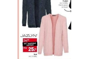 jazlyn vest