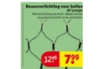 buxusverlichting voor buiten