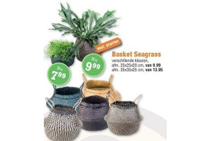 basket seagrass