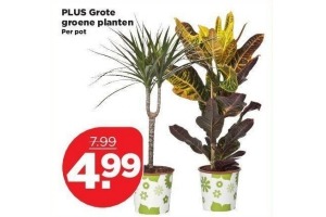 plus grote planten