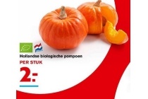 hollandse biologische pompoen