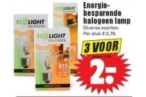 energie besparende halogeen lamp