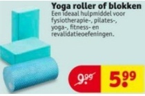 yoga roller of blokken