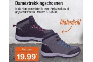 dames trekkingschoenen