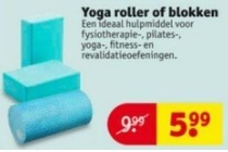 yoga roller of blokken