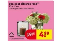 vaas met zilveren rand