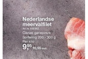 nederlandse meervalfilet