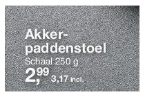 akkerpaddenstoel