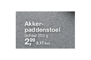 akkerpaddenstoel