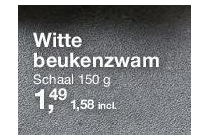 witte beukenzwam