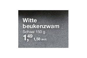 witte beukenzwam