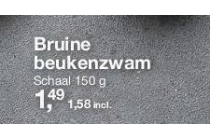 bruine beukenzwam