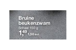 bruine beukenzwam