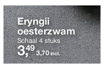 eryngii oesterzwam
