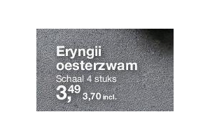 eryngii oesterzwam