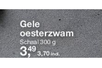 gele oesterzwam