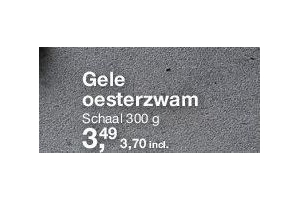 gele oesterzwam