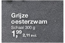 grijze oesterzwam