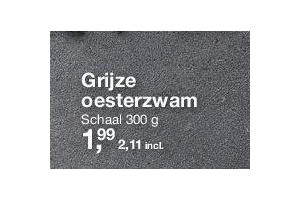 grijze oesterzwam