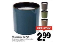waxkaars in pot