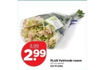 plus fairtrade rozen