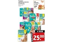 pampers premium protection of baby dry