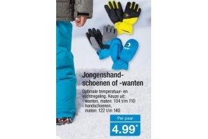 jongens handschoenen of wanten