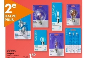 blokker lampen diverse soorten