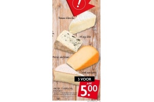 proef t verschil kaasjes