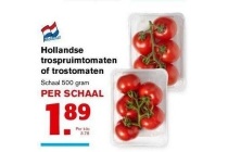 hollandse trospruimtomaten of trostomaten