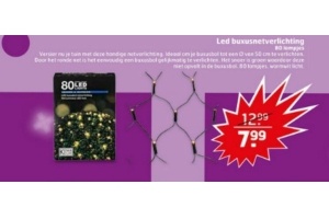 lex buxusnetverlichting