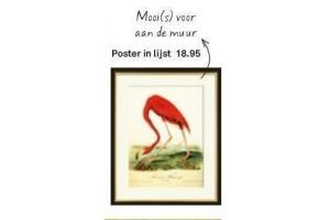 poster in lijst