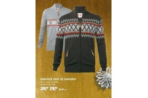 gebreid vest of sweater