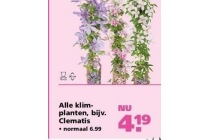 alle klimplanten