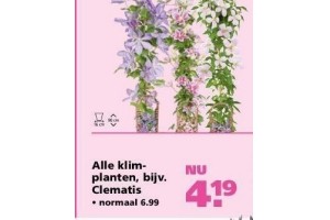 alle klimplanten