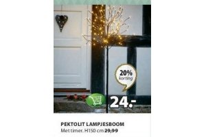 lampjesboom pektolit
