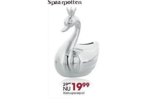 spaarpot zilver