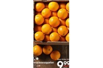 persinaasappelen