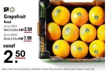 grapefruit rood net 3 stuks