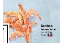 gamba s