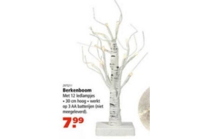 berkenboom