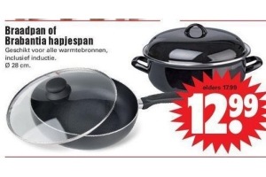 braadpan of brabantia hapjespan