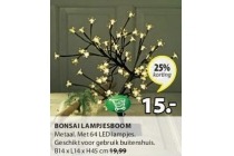 bonsai lampjesboom