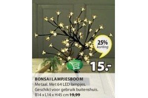 bonsai lampjesboom