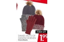 dames muts of handschoenen