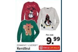 lidl kersttrui