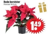 rode kerstster